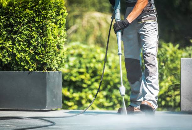 Solar Panel Cleaning